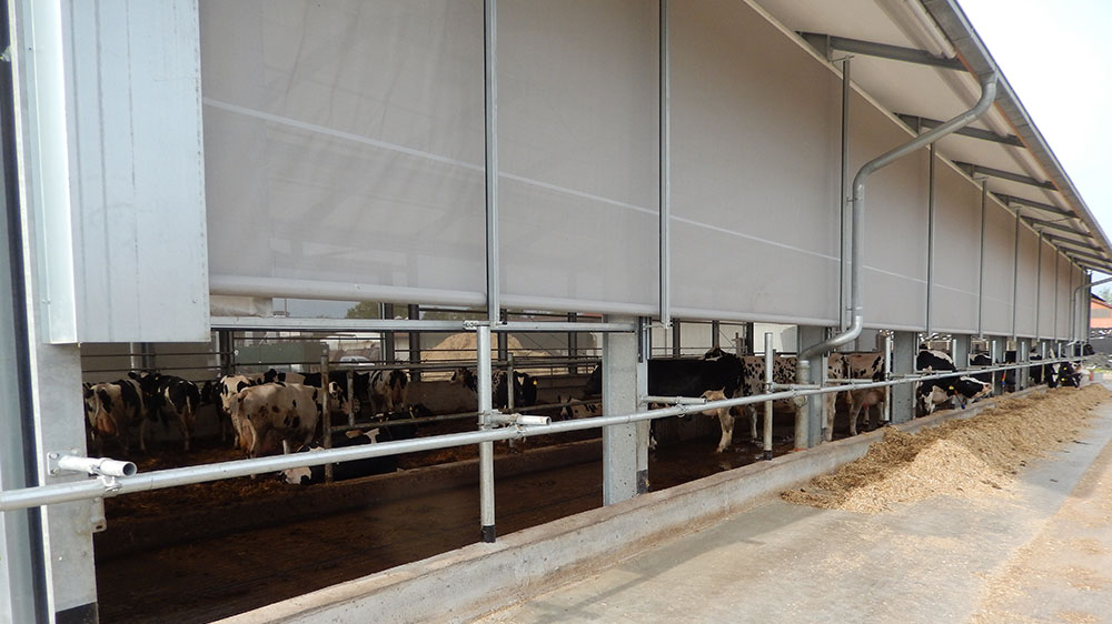 Milchviehstall